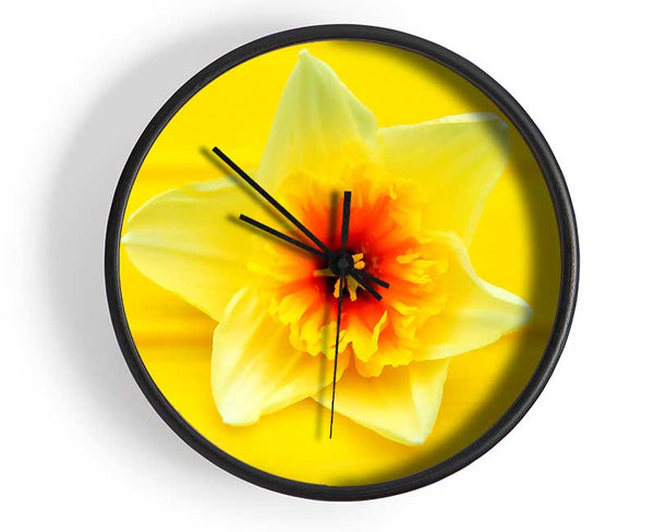 Daffodil Head Clock - Wallart-Direct UK