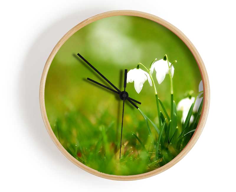 Cute Snowdrops Clock - Wallart-Direct UK