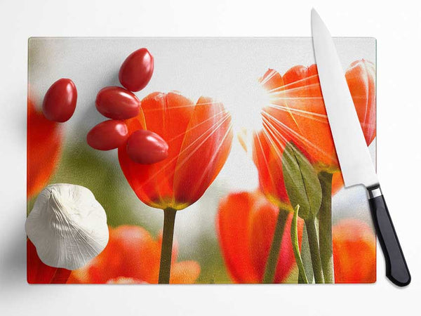 Orange Tulips Glass Chopping Board