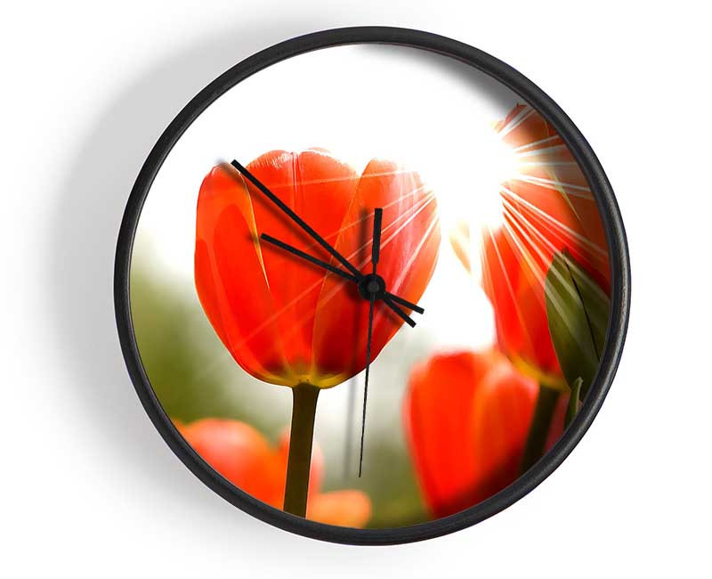 Orange Tulips Clock - Wallart-Direct UK