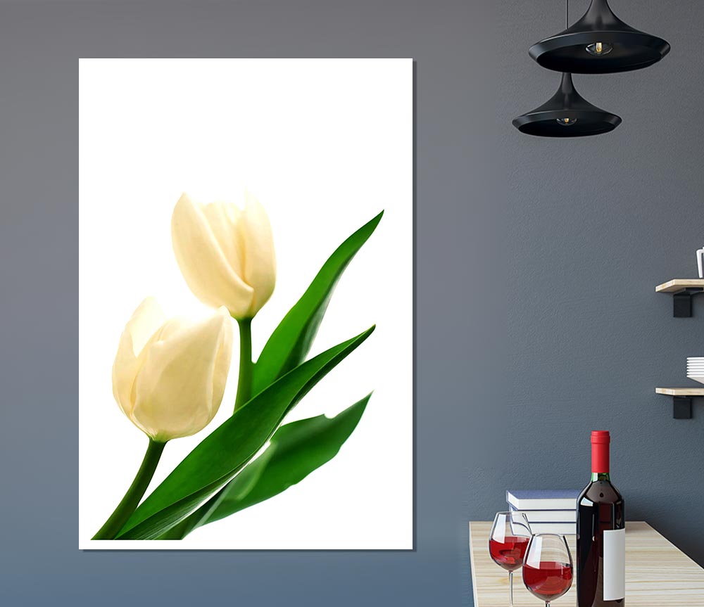 White Tulips Print Poster Wall Art