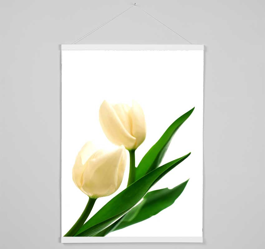 White Tulips Hanging Poster - Wallart-Direct UK