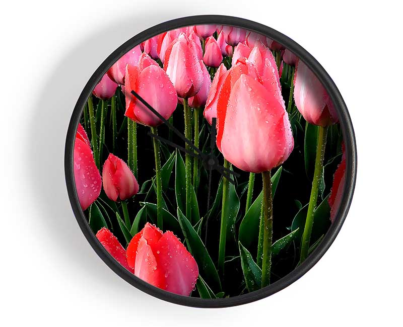 Pink Tulips Cultivation Clock - Wallart-Direct UK