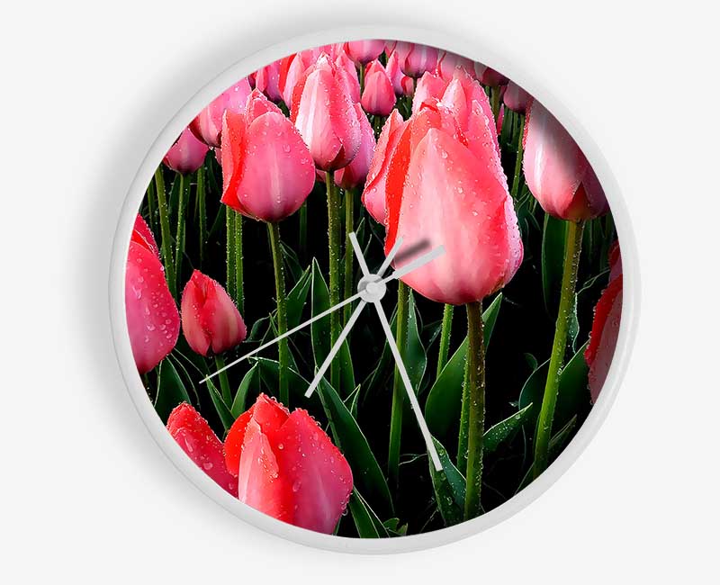 Pink Tulips Cultivation Clock - Wallart-Direct UK