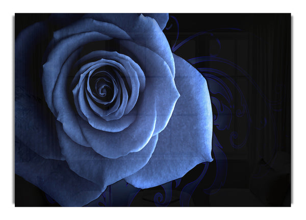 Blue Rose 2