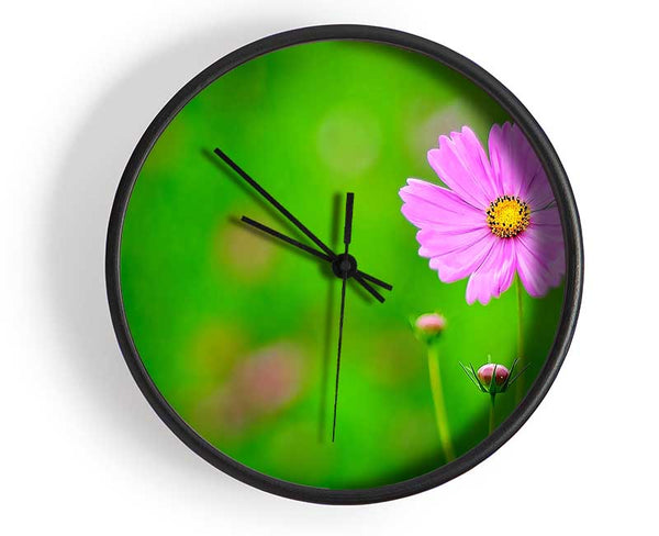 Pink Flower Green Background Clock - Wallart-Direct UK