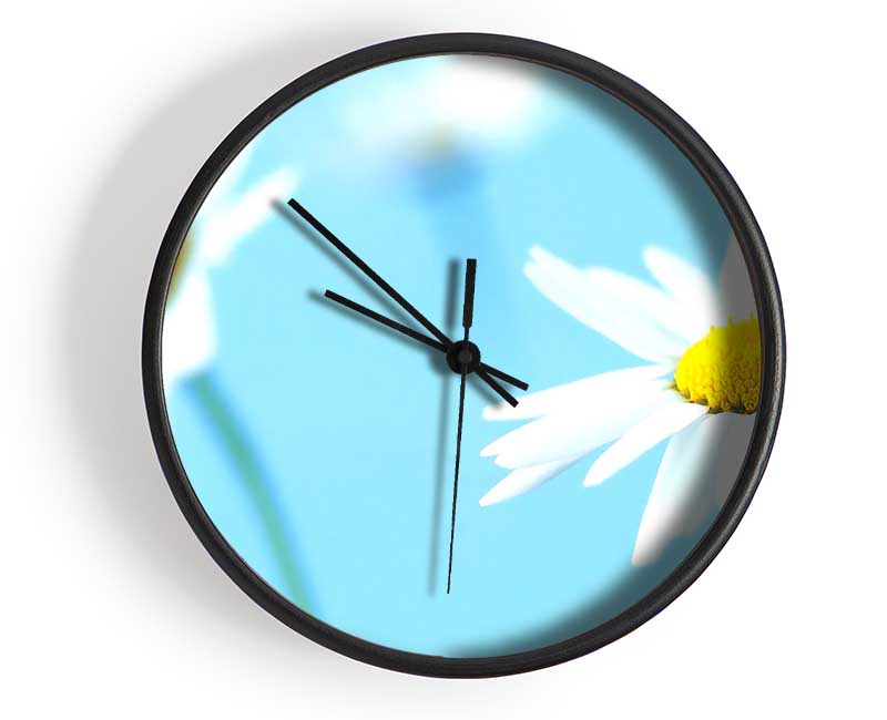 White Daisies On Blue Clock - Wallart-Direct UK