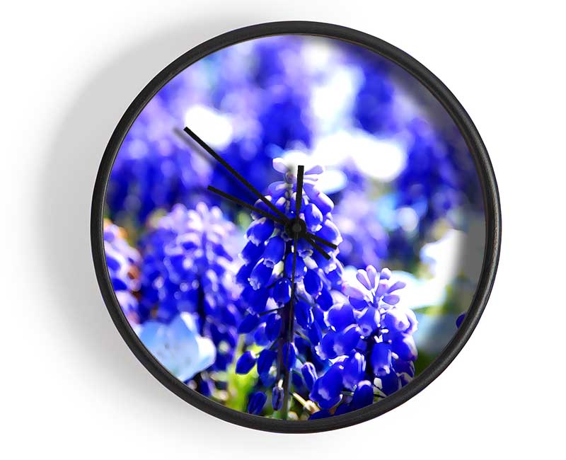 Grape Hyacinths Clock - Wallart-Direct UK