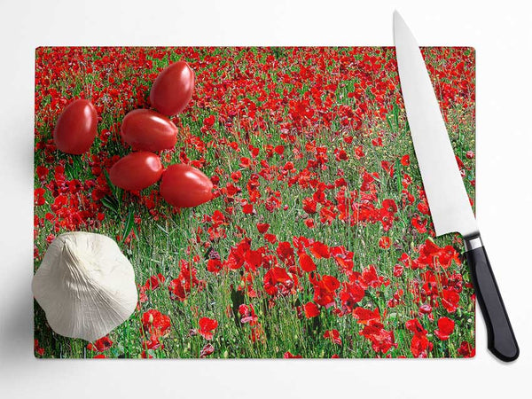 Red Poppy Field Glass Chopping Board