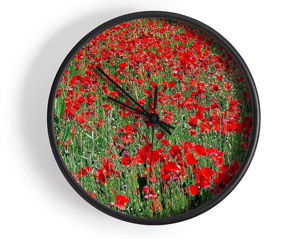 Red Poppy Field Clock - Wallart-Direct UK