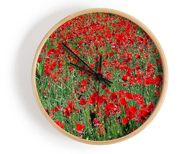 Red Poppy Field Clock - Wallart-Direct UK