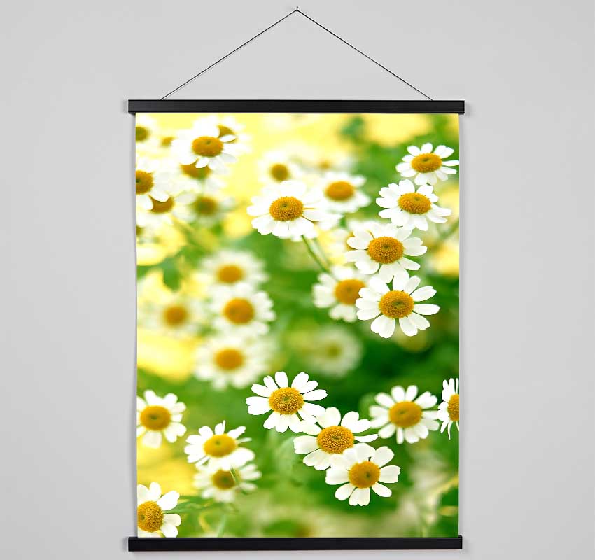 Chamomile Macro Hanging Poster - Wallart-Direct UK