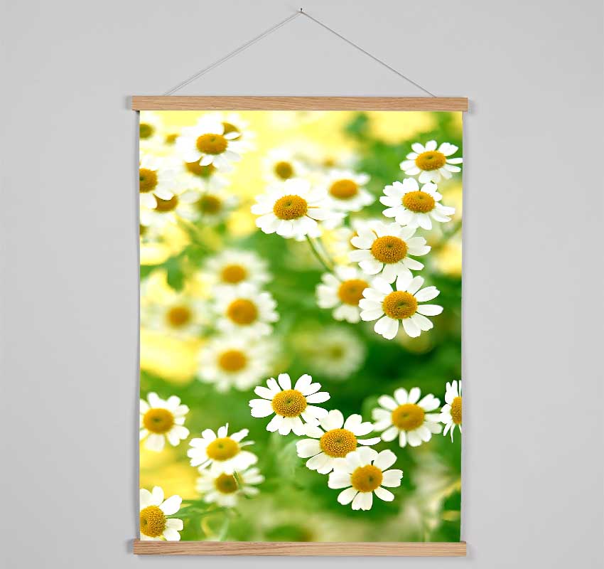 Chamomile Macro Hanging Poster - Wallart-Direct UK