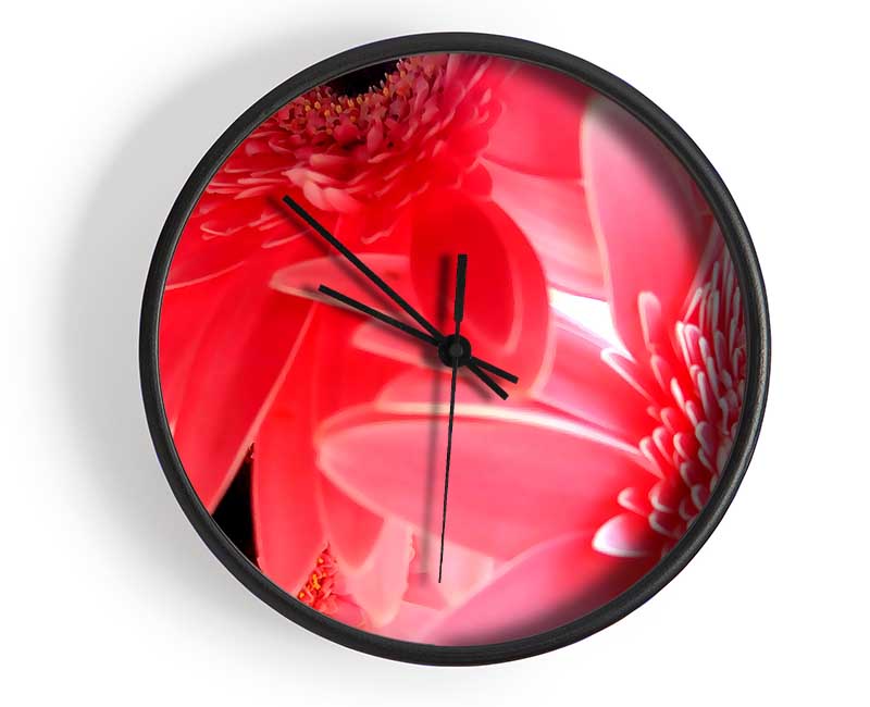 Pink Gerbera Flower Mayhem Clock - Wallart-Direct UK