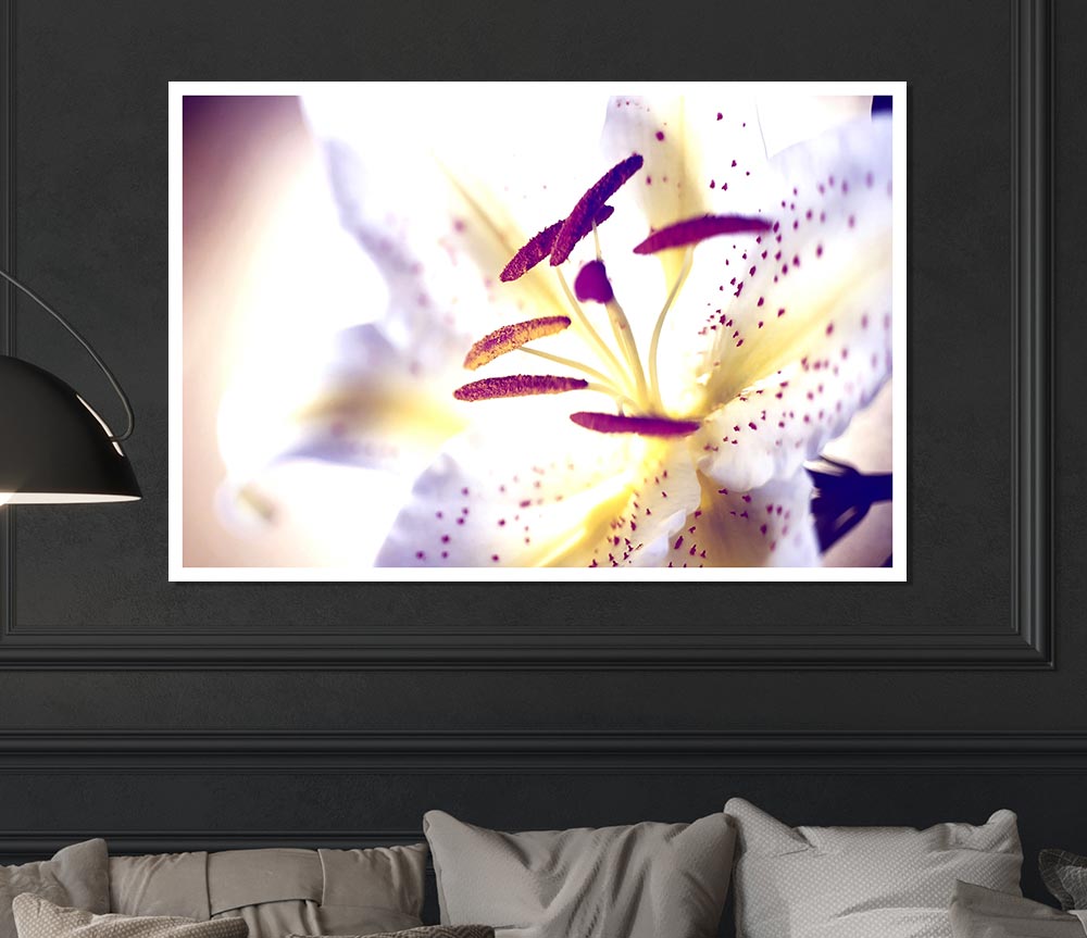 White Tiger Lily Print Poster Wall Art