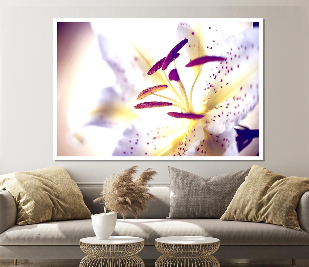 White Tiger Lily Print Poster Wall Art