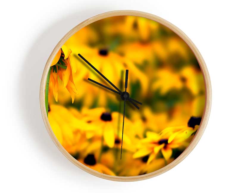 Black Eyed Susan Flowers Clock - Wallart-Direct UK