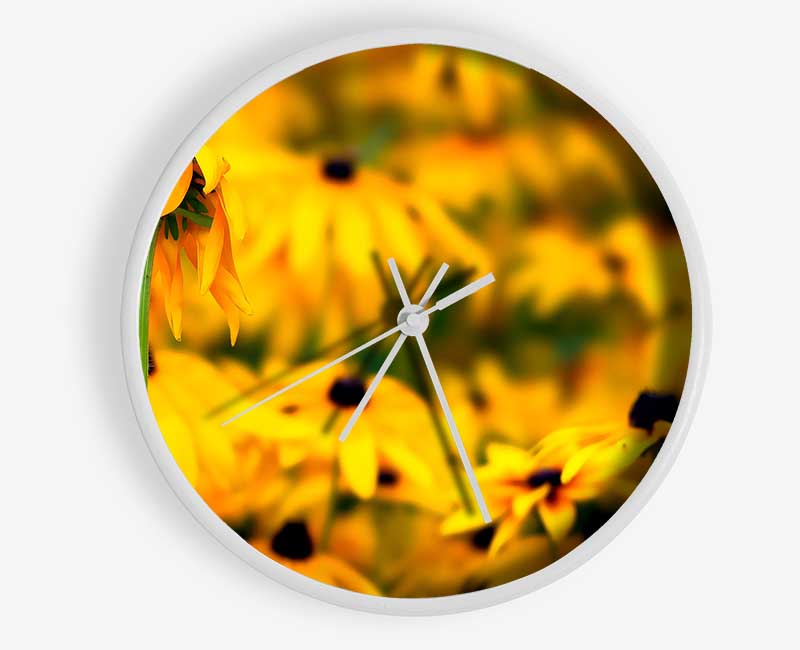 Black Eyed Susan Flowers Clock - Wallart-Direct UK