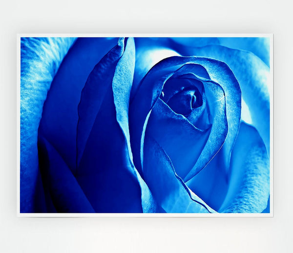 Blue Rose Print Poster Wall Art