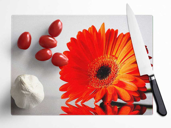 Gerbera Daisies Reflection Glass Chopping Board