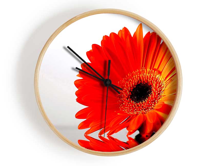 Gerbera Daisies Reflection Clock - Wallart-Direct UK