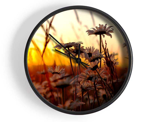 Daisies At Sunset Clock - Wallart-Direct UK