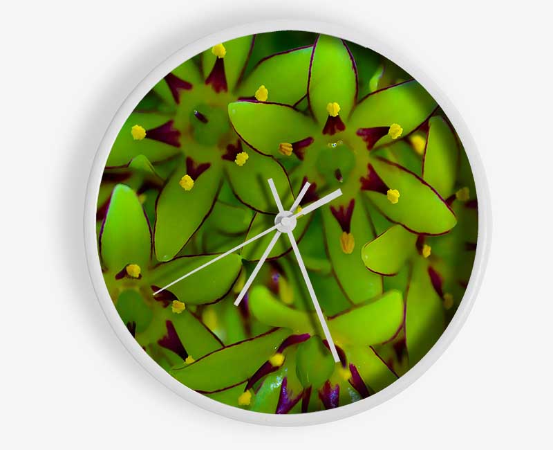 Eucomis Clock - Wallart-Direct UK