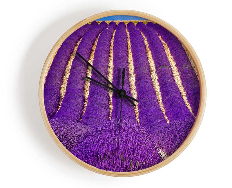 Lavender Field Clock - Wallart-Direct UK