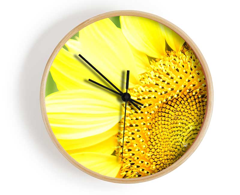 Sunflower Close-up Clock - Wallart-Direct UK