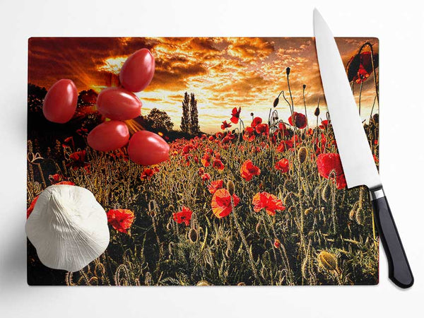 Red Poppy Field At Sunset Glass Chopping Board