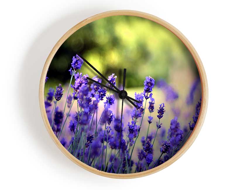 Beautiful Lavender Flowers Clock - Wallart-Direct UK