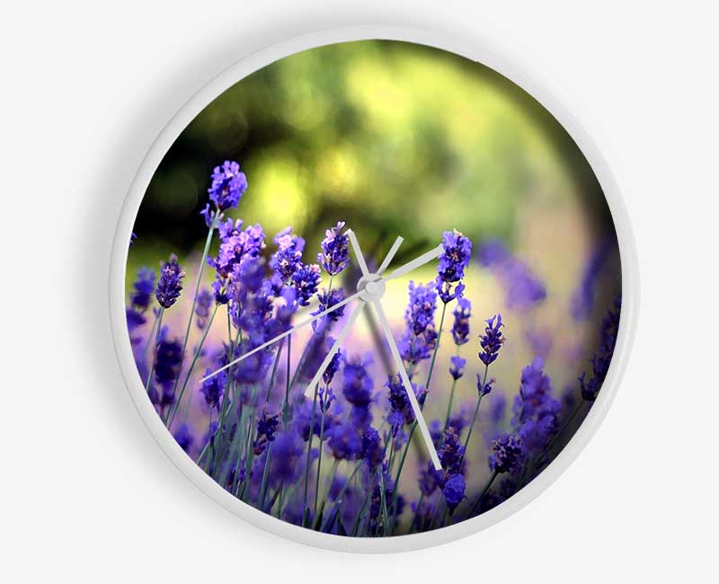 Beautiful Lavender Flowers Clock - Wallart-Direct UK