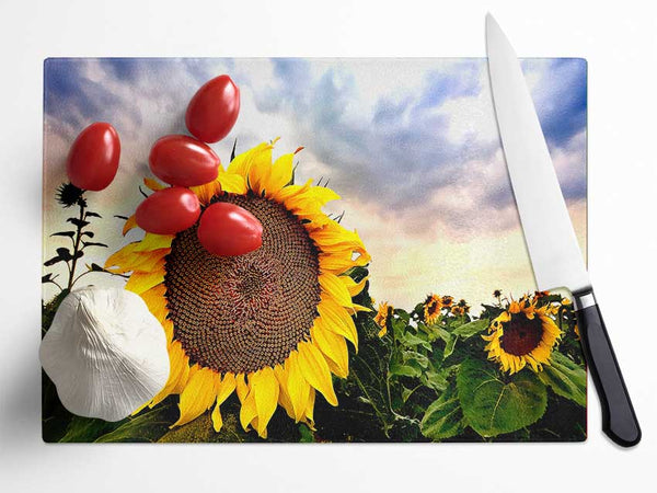 Sunflower Close Up In The Sky Glass Chopping Board