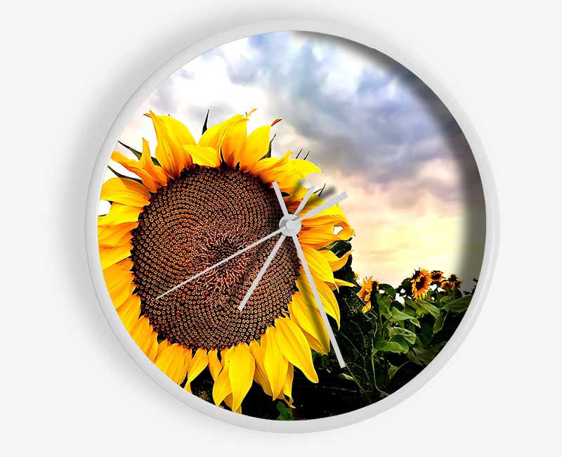 Sunflower Close Up In The Sky Clock - Wallart-Direct UK