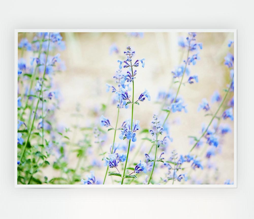 Blue Small Flowers Print Poster Wall Art