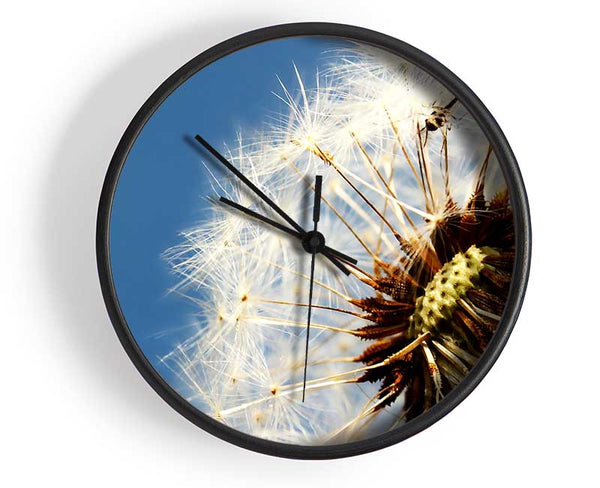 Dandelion Skies Clock - Wallart-Direct UK