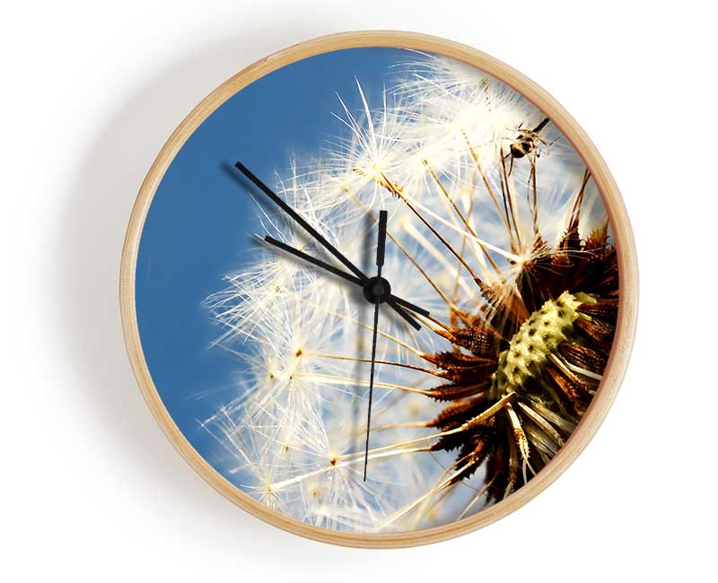 Dandelion Skies Clock - Wallart-Direct UK