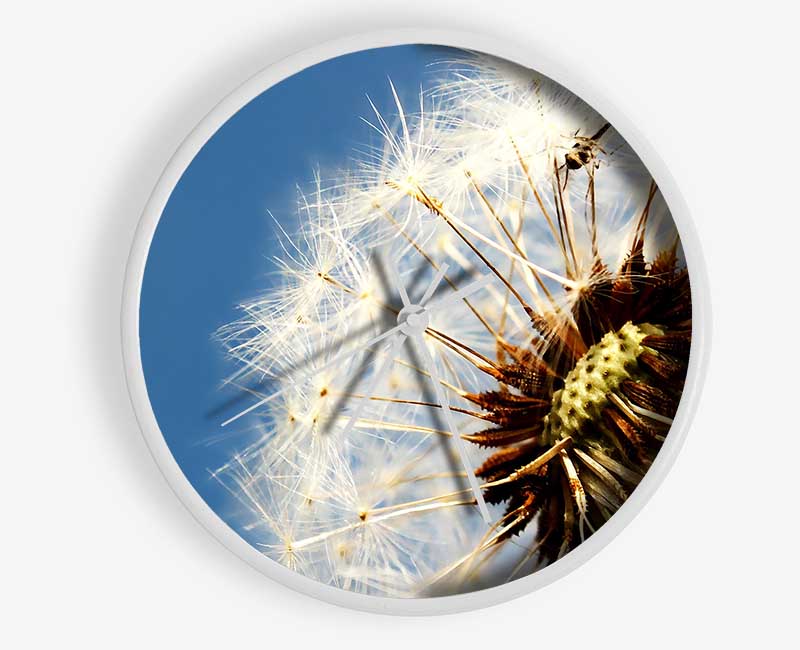 Dandelion Skies Clock - Wallart-Direct UK