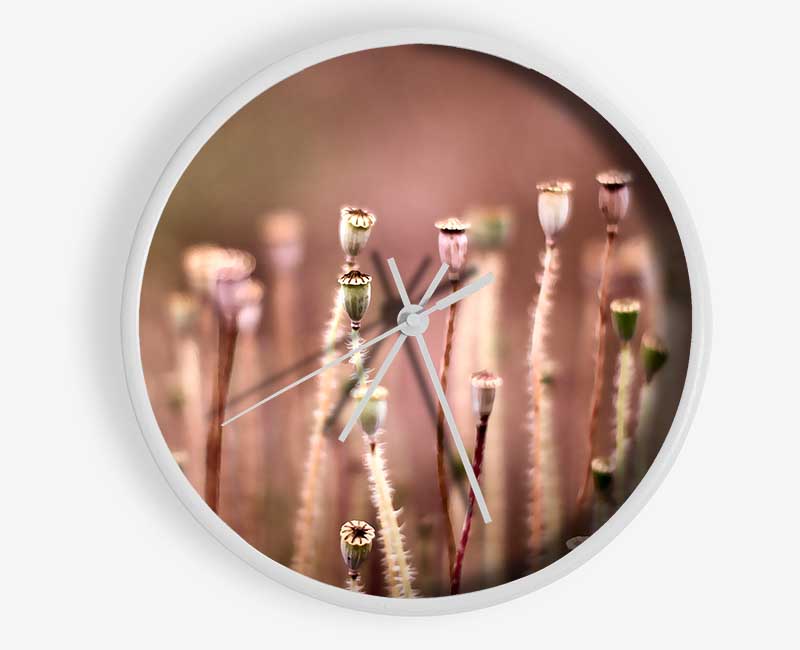 Poppy Pods Clock - Wallart-Direct UK