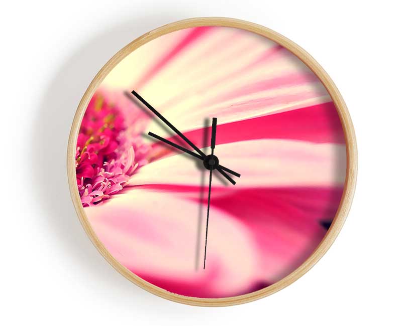 Gerbera Pink Petal Close-up Clock - Wallart-Direct UK