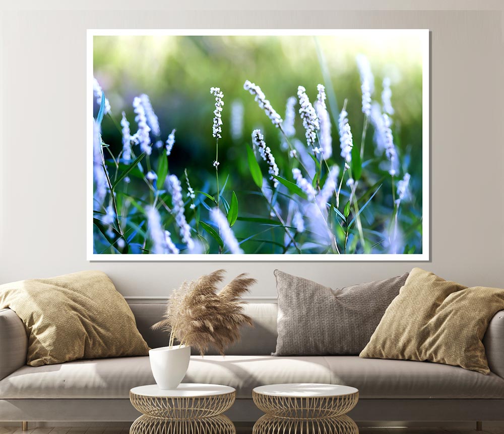 Bush Flowers Print Poster Wall Art