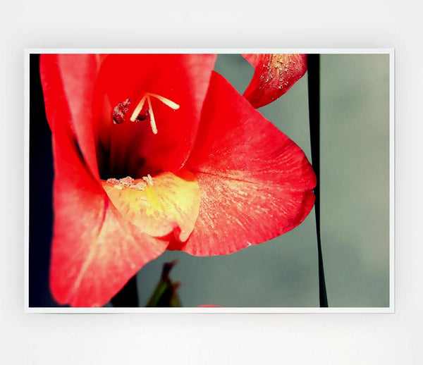 Three Petal Red Print Poster Wall Art