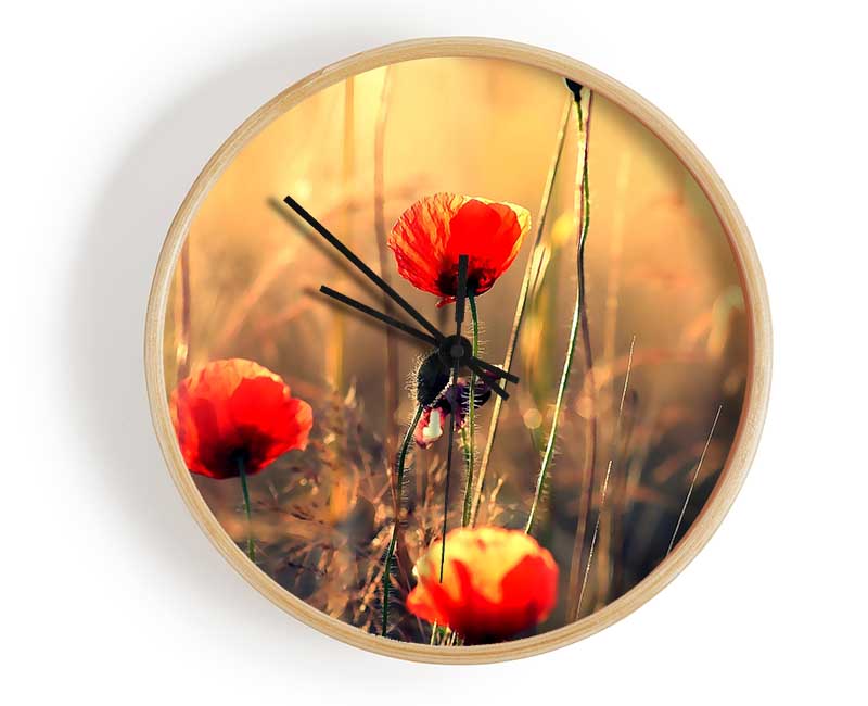 Red Poppy Sun Rays Clock - Wallart-Direct UK