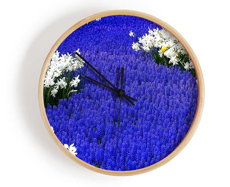 Grape Hyacinths And Daffodils Clock - Wallart-Direct UK