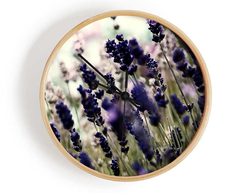 Lavender Flower Stems Clock - Wallart-Direct UK