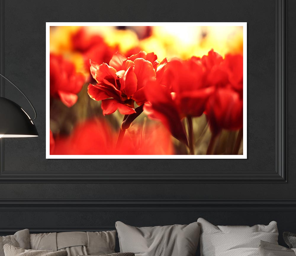 Beautiful Red Flowers Print Poster Wall Art