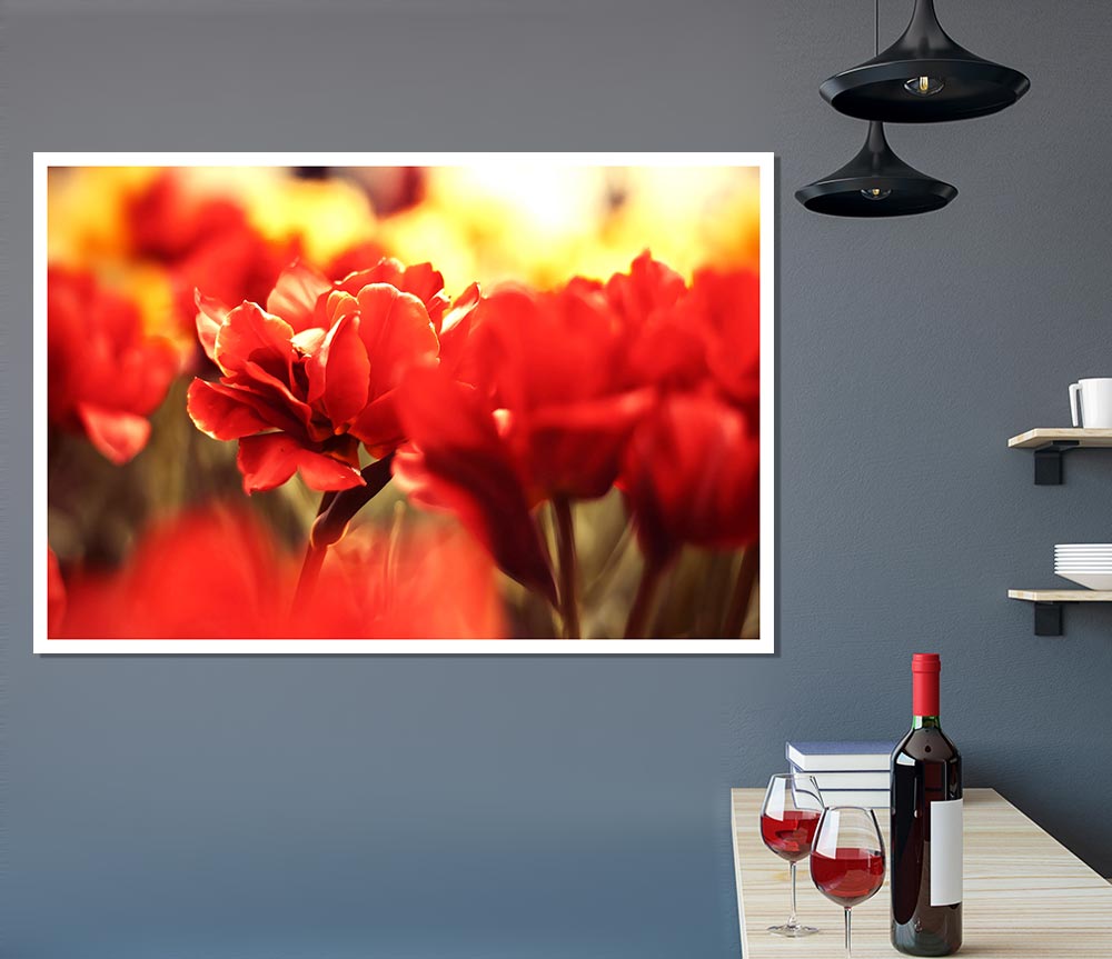 Beautiful Red Flowers Print Poster Wall Art