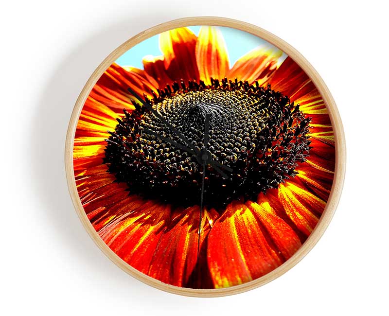 The Sunflower Clock - Wallart-Direct UK