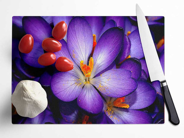 Crocuses Purple Glass Chopping Board