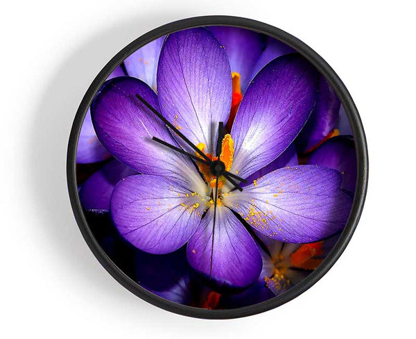 Crocuses Purple Clock - Wallart-Direct UK